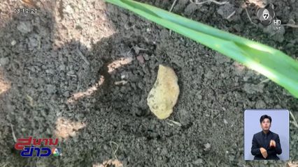 แค่รอยเท้า ก็ผวาแล้ว จ.นครราชสีมา