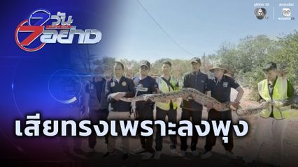 7 วัน 7 อย่าง : เสียทรงเพราะลงพุง