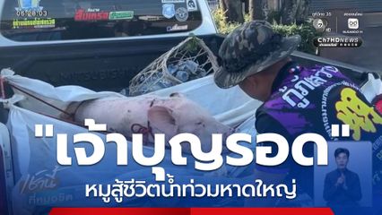 บุญรอด หมูสู้ชีวิตน้ำท่วมหาดใหญ่