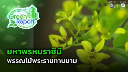 Green Report : มหาพรหมราชินี พรรณไม้พระราชทานนาม