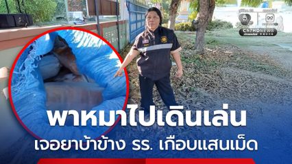 พาหมาไปเดินเล่น เจอยาบ้าข้าง รร. เกือบแสนเม็ด