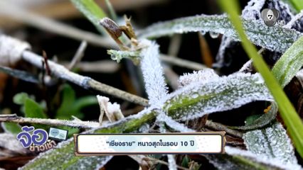 เชียงราย หนาวสุดในรอบ 10 ปี