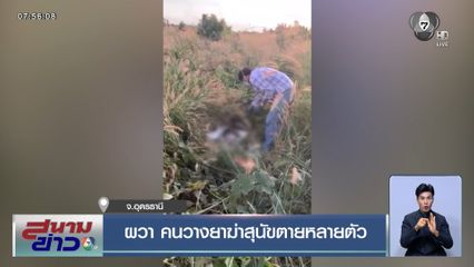 ผวา คนวางยาฆ่าสุนัขตายหลายตัว จ.อุดรธานี