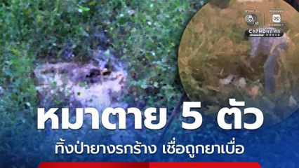 เจ้าของแทบช็อก สุนัขสุดรักถูกฆ่ายัดใส่กระสอบปุ๋ยทิ้งป่ารกร้าง คาดถูกยาเบื่อ เผย มีสุนัขตายรวม 5 ตัวแล้ว 