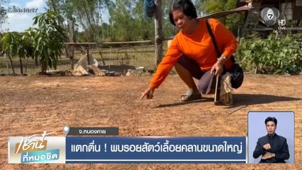 แตกตื่น! พบรอยสัตว์เลื้อยคลานขนาดใหญ่