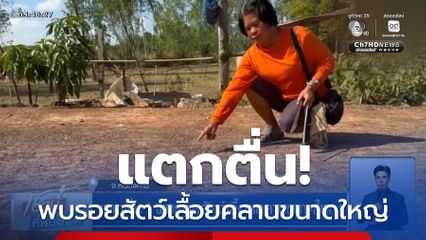 แตกตื่น! พบรอยสัตว์เลื้อยคลานขนาดใหญ่