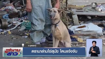 ดรามาล่ามโซ่สุนัข โดนแจ้งจับ จ.อุดรธานี