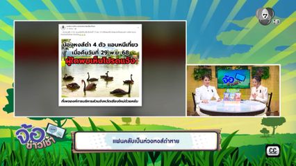 แฟนคลับเป็นห่วงหงส์ดำหาย