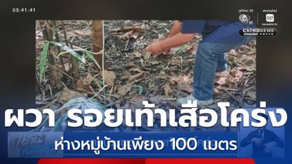 ชาวบ้านผวา รอยเท้าเสือโคร่ง จ.ตาก