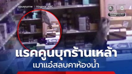 แรคคูนบุกร้านเหล้า! เมาแอ๋ทำขวดแตกเกลื่อน ก่อนนอนสลบคาห้องน้ำ
