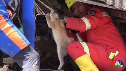 แมวพลัดพรากจากน้ำท่วมในอินโดนีเซีย พบหน้าเจ้าของอีกครั้ง