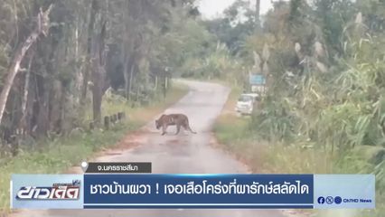 ชาวบ้านผวา ! เจอเสือโคร่งที่ผารักษ์สลัดได