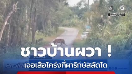 ชาวบ้านผวา ! เจอเสือโคร่งที่ผารักษ์สลัดได