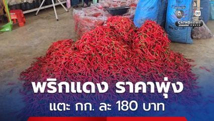 พริกแดง ราคาพุ่งแรงแตะ กก. ละ 180 บาท ซึ่งเป็นผลกระทบจากน้ำท่วม