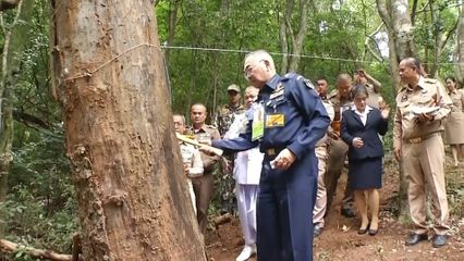 พลอากาศเอก จารึก สนิทวงศ์ ณ อยุธยา เป็นประธานบวงสรวงตัดไม้จันทน์หอม สำหรับใช้ในงานพระราชพิธีถวายพระเพลิงพระบรมศพ สมเด็จพระนางเจ้าสิริกิติ์ พระบรมราชินีนาถ พระบรมราชชนนีพันปีหลวง