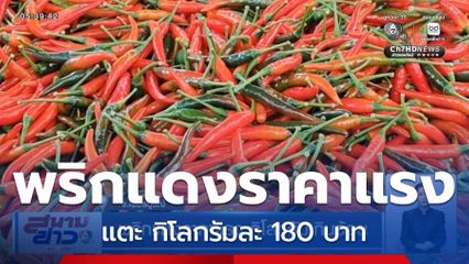 พริกแดงราคาแรง กิโลกรัมเกินร้อย