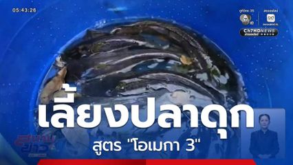 เลี้ยงปลาดุก สูตร "โอเมกา 3"