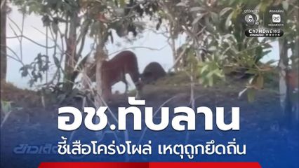 อช.ทับลาน ชี้เสือโคร่งโผล่ เหตุถูกยึดถิ่น