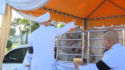 ผู้แทนพระองค์ไปในการบำเพ็ญพระราชกุศลปล่อยโค นก และพันธุ์สัตว์น้ำ เนื่องในโอกาสวันคล้ายวันประสูติ สมเด็จพระเจ้าลูกเธอ เจ้าฟ้าพัชรกิติยาภา นเรนทิราเทพยวดี กรมหลวงราชสาริณีสิริพัชร มหาวัชรราชธิดา