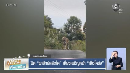 ปิด ผารักษ์สลัดได เลี่ยงเผชิญหน้า เสือโคร่ง