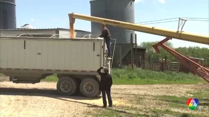 ทรัมป์เตรียมเปิดตัวมาตรการช่วยเหลือเกษตรกรสหรัฐฯ