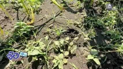 แค่รอยเท้า ! ก็ผวาแล้ว