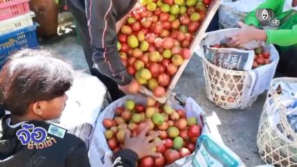 ส่งผักช่วยเหลือผู้ประสบภัยน้ำท่วม