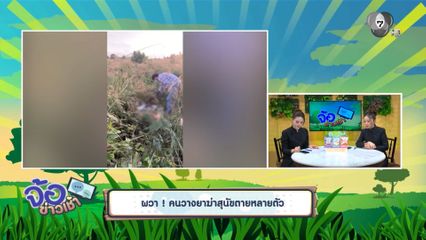 ผวา ! คนวางยาฆ่าสุนัขตายหลายตัว