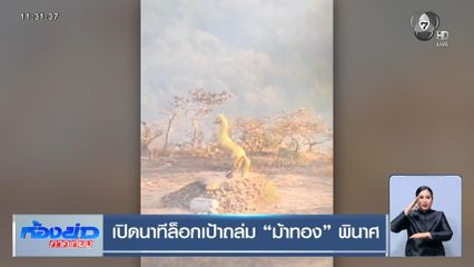 เปิดนาทีล็อกเป้าถล่ม ม้าทอง พินาศ