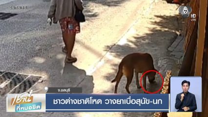 ชาวต่างชาติโหด วางยาเบื่อสุนัข-นก