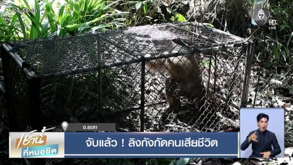 จับแล้ว ! ลิงกังกัดคนเสียชีวิต