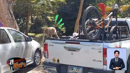 หมอชิต ติดซีเกมส์ : ลิงเจ้าถิ่น แห่รุมเช็กสภาพจักรยานเสือภูเขา