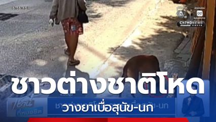 ชาวต่างชาติโหด วางยาเบื่อสุนัข-นก