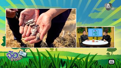 หมู่บ้านเดียว เจอกระสุนปืนใหญ่ตก 5 ลูก