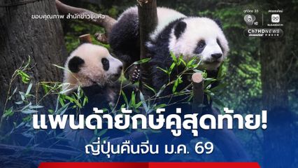 ญี่ปุ่นเตรียมส่ง 'แพนด้ายักษ์' สองตัวสุดท้ายกลับจีน ม.ค. 2026