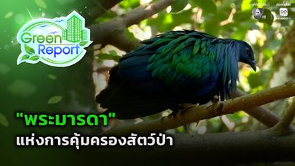 Green Report : "พระมารดา" แห่งการคุ้มครองสัตว์ป่า