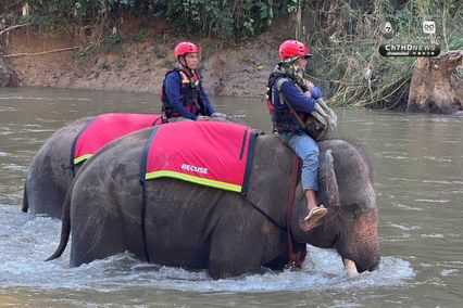 อัลบั้ม ครั้งแรกของโลก! ซ้อมกู้ภัยร่วม “ช้าง–สุนัข–มนุษย์”