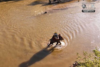 อัลบั้ม ครั้งแรกของโลก! ซ้อมกู้ภัยร่วม “ช้าง–สุนัข–มนุษย์”