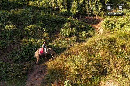 อัลบั้ม ครั้งแรกของโลก! ซ้อมกู้ภัยร่วม “ช้าง–สุนัข–มนุษย์”