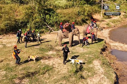 อัลบั้ม ครั้งแรกของโลก! ซ้อมกู้ภัยร่วม “ช้าง–สุนัข–มนุษย์”