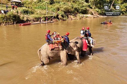 อัลบั้ม ครั้งแรกของโลก! ซ้อมกู้ภัยร่วม “ช้าง–สุนัข–มนุษย์”