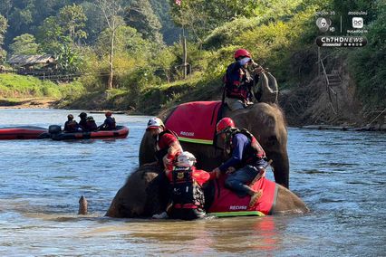 อัลบั้ม ครั้งแรกของโลก! ซ้อมกู้ภัยร่วม “ช้าง–สุนัข–มนุษย์”