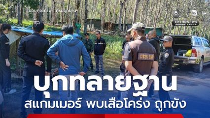 ทหาร​ KNU บุกทลายฐานสแกมเมอร์ พบ เสือโคร่ง ถูกกักขัง​ในพื้นที่ชายแดนประเทศเมียนมา