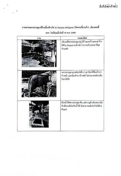 รัฐบาลไม่ละความพยายาม พาช้างกลับบ้าน พลายประตูผา-พลายศรีณรงค์