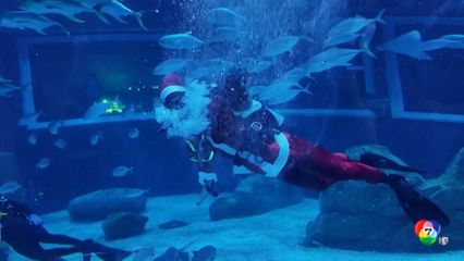 ซานตาคลอสดำน้ำ สร้างสีสันต้อนรับคริสต์มาส ที่บราซิล