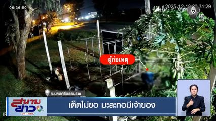 เด็ดไม่ขอ คนร้ายย่องขโมยมะละกอกลางดึก