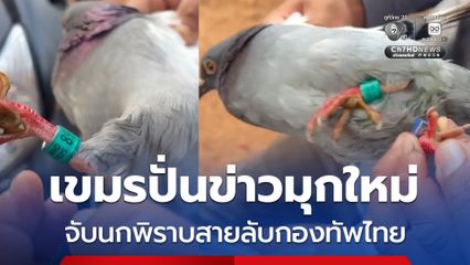 เขมรปั่นข่าวมุกใหม่ จับนกพิราบสายลับกองทัพไทย
