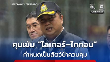 กระทรวงทรัพยากรฯ อุดช่องว่างกฎหมาย คุมเข้ม ไลเกอร์–ไทกอน กำหนดเป็นสัตว์ป่าควบคุม ต้องแจ้งการครอบครอง