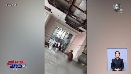 อึ้ง ! นิติฯ ยึดดาดฟ้าเลี้ยงหมาเกือบร้อย จ.นนทบุรี