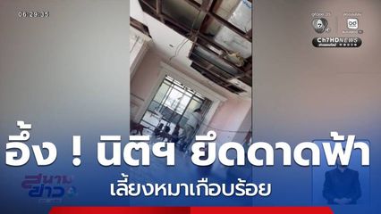 อึ้ง ! นิติฯ ยึดดาดฟ้าเลี้ยงหมาเกือบร้อย จ.นนทบุรี